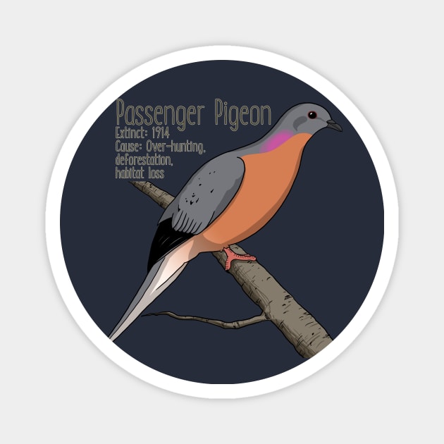 Extinct Species: Passenger Pigeon Magnet by Feathered Focus